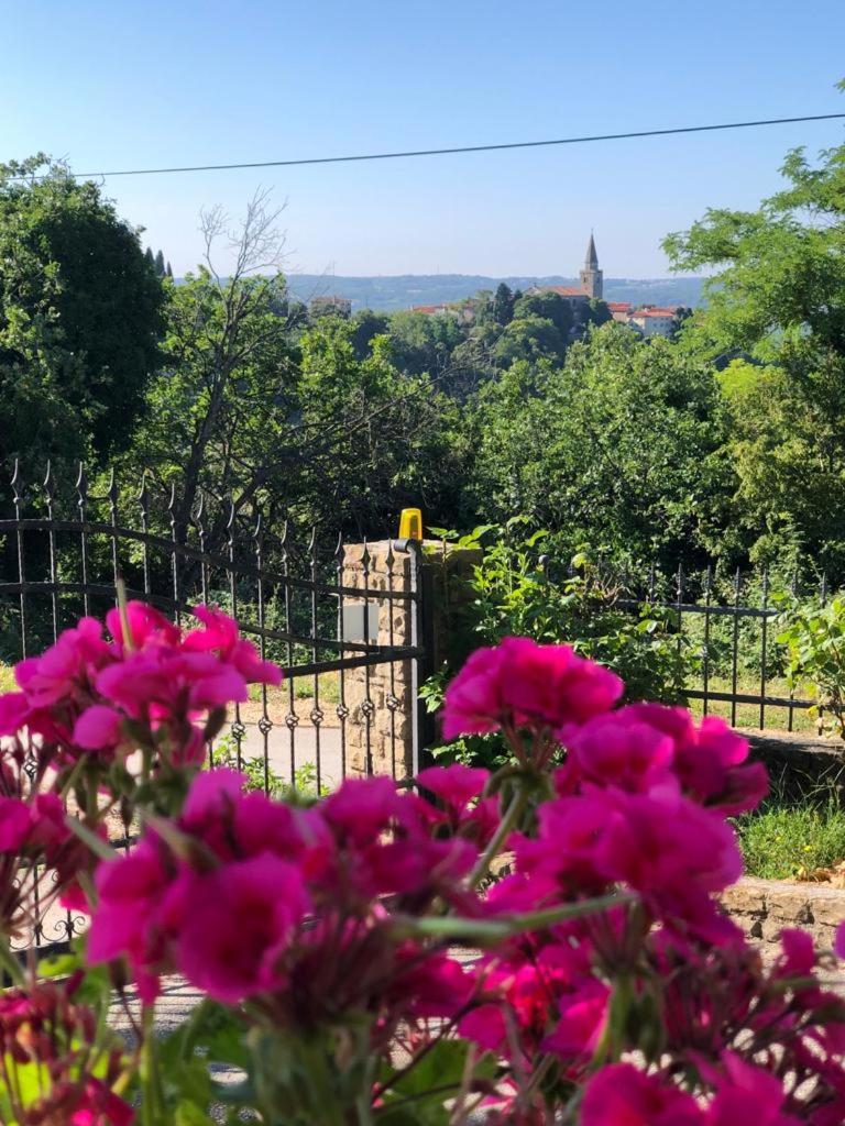 Grožnjan Apartman Villa Romana מראה חיצוני תמונה